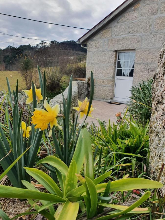 Casa Da Poca Villa Baião Kültér fotó