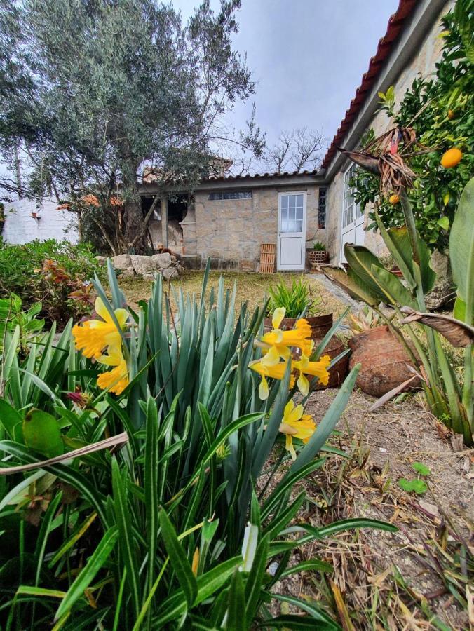 Casa Da Poca Villa Baião Kültér fotó